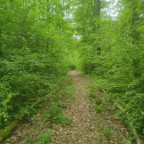 Wandernadel Auto-/Wandertour Lutherweg