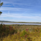 Wanderung Harz Vorland - Heerer See (Salzgitter)
