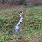 Wandernadel Tour "Hohegeiß"