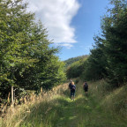 Wandernadel Tour "Elverstein"