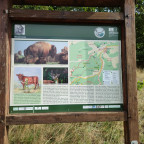 Wanderung Tour "Bisongehege"