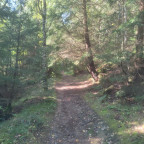 Wanderung Tour Steinerne Renne