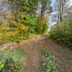 Wanderung Tour "Schirm Ballenstedt"