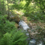 Wandernadel Tour Ilsenburg II