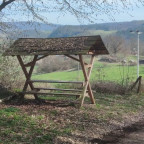 Wanderung Karstwanderweg "Reesbergdoline & Glockensteine"