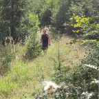 Wandernadel Tour "Elverstein"
