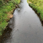 Wanderung Tour "Kapitelsberg"