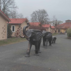 Serengitipark