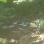 Wandernadel Tour Ilsenburg II