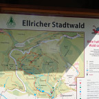 Wandernadel Tour "Stadtwald Ellrich"