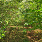 Wanderung Harz Vorland - Heerer See (Salzgitter)